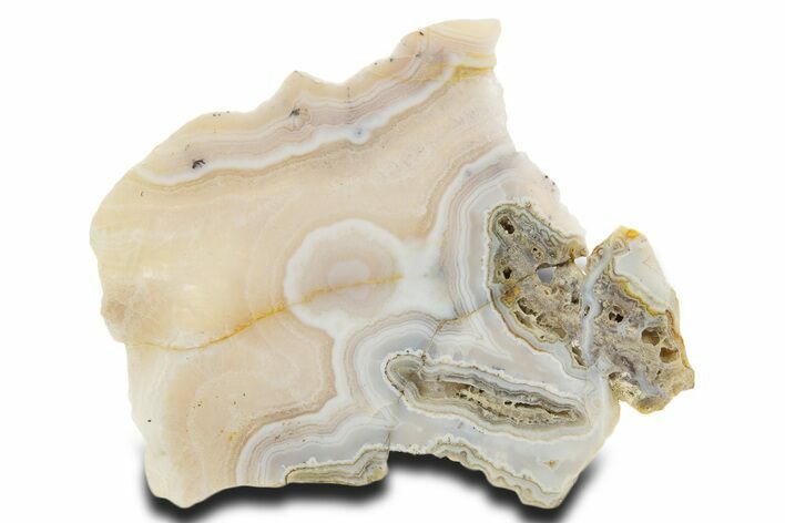 Polished Sowbelly Agate Slab - Colorado #337019
